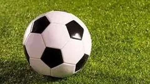 RAYBET雷竞技 产品 095754 4p3